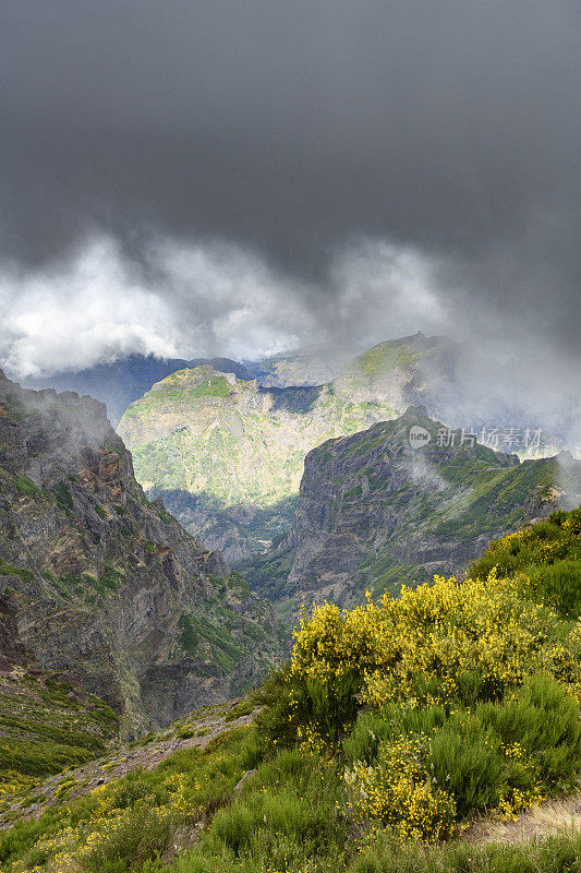 马德拉岛的山在Pico do ariiro和云彩在高山上